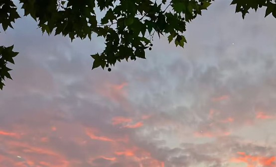 测试速度