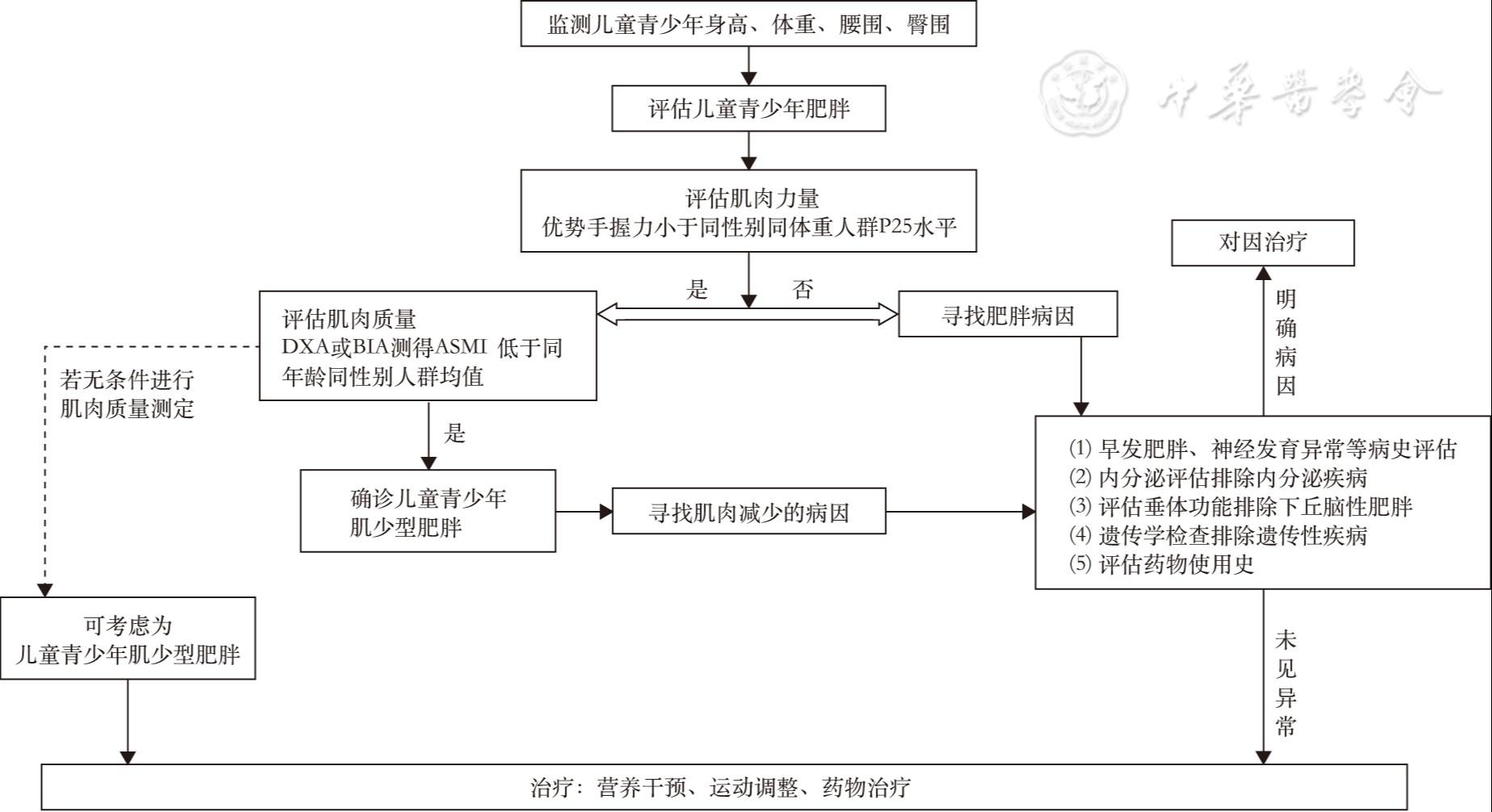肌少型肥胖临床诊治专家共识（2026版）