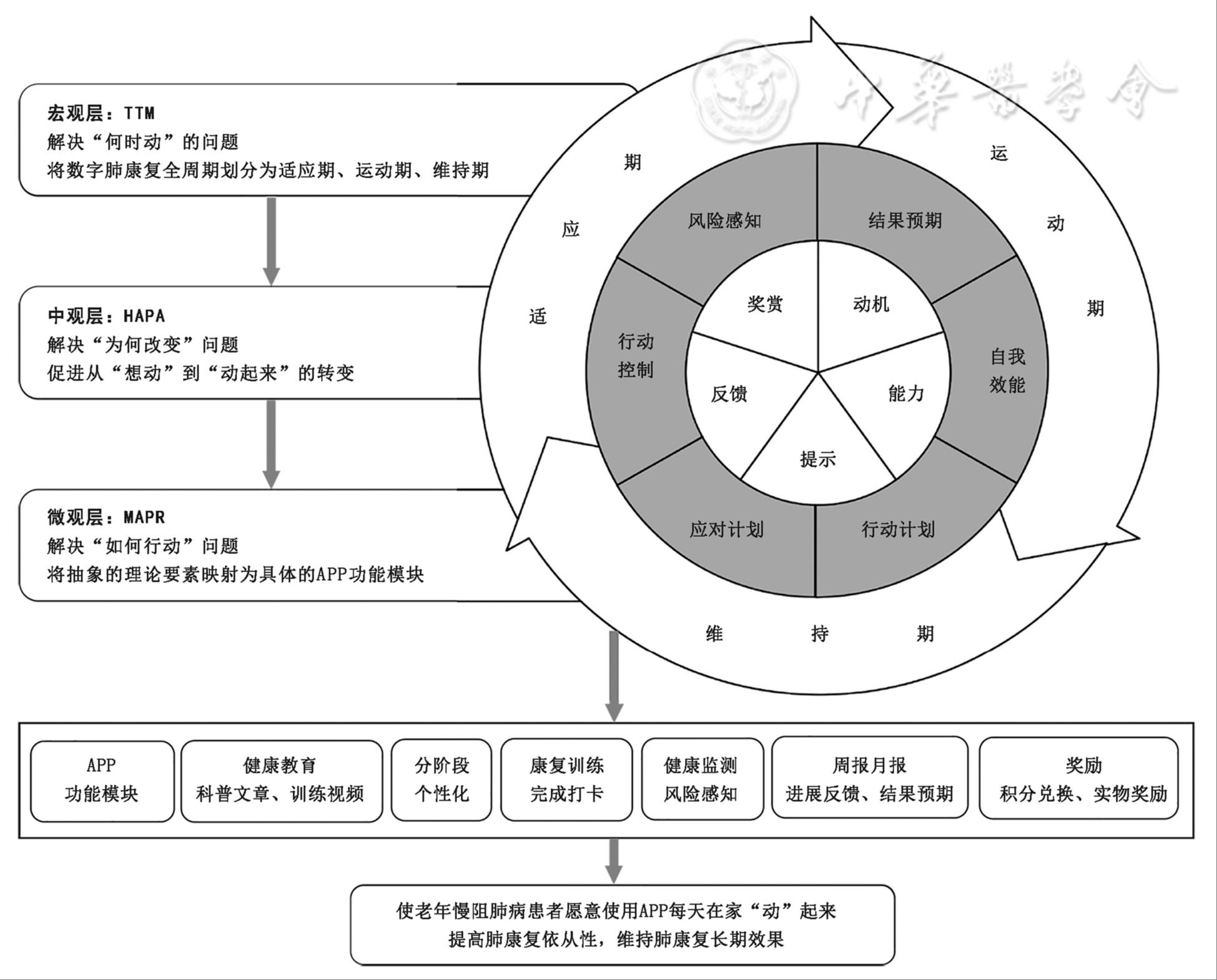基于多重行为科学理论的慢阻肺病数字肺康复分阶段个体化干预框架的构建及评价