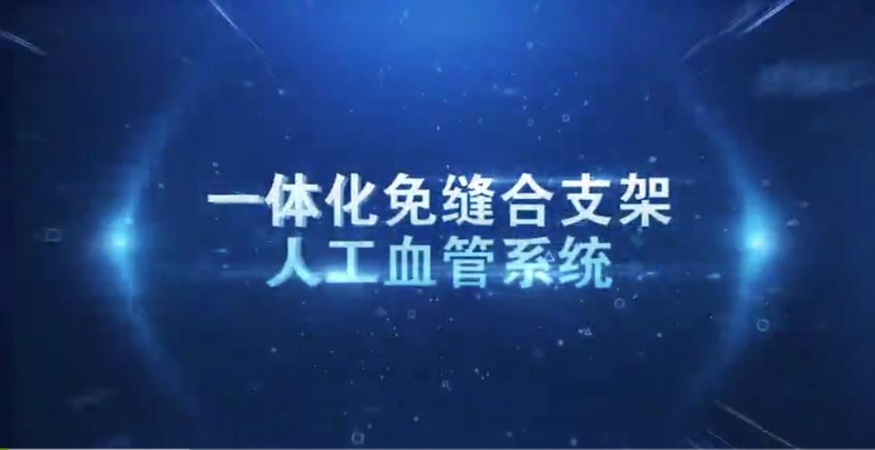 一体化免缝合带支架人工血管系统