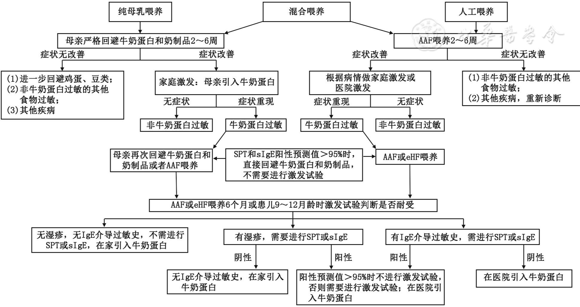 食物过敏相关消化系统疾病诊断与管理循证指南（2026）
