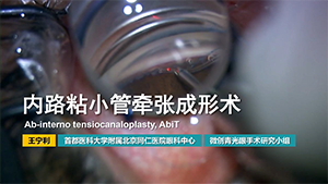 内路黏小管牵张成形术