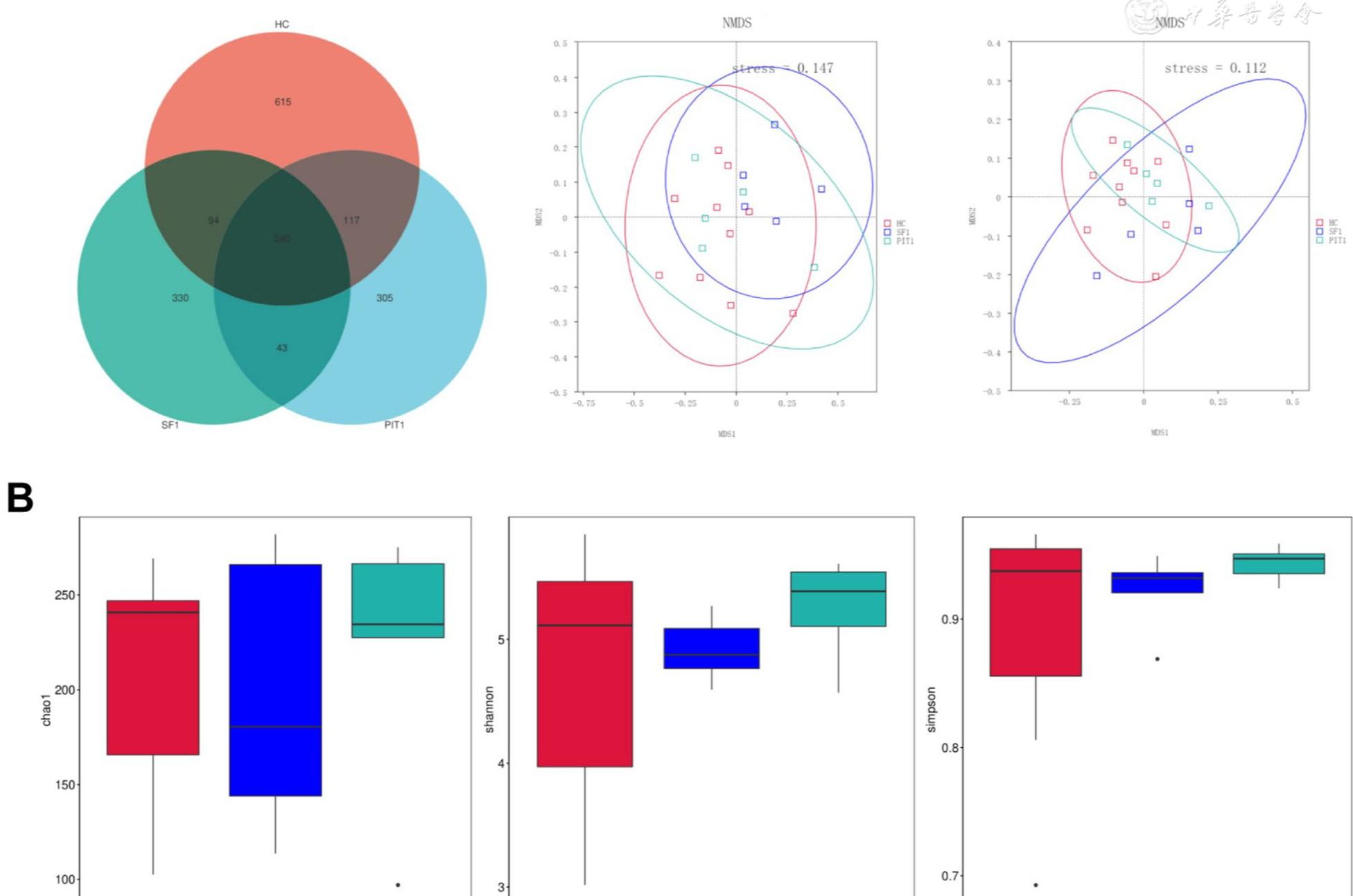 Distinct gut microbial profile in PIT1 lineage PitNETs: a potential link to cognitive impairment
