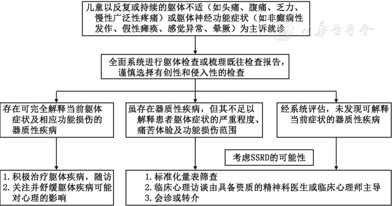 儿科临床服务中常见情绪与心身问题识别与应对路径专家共识（2026）