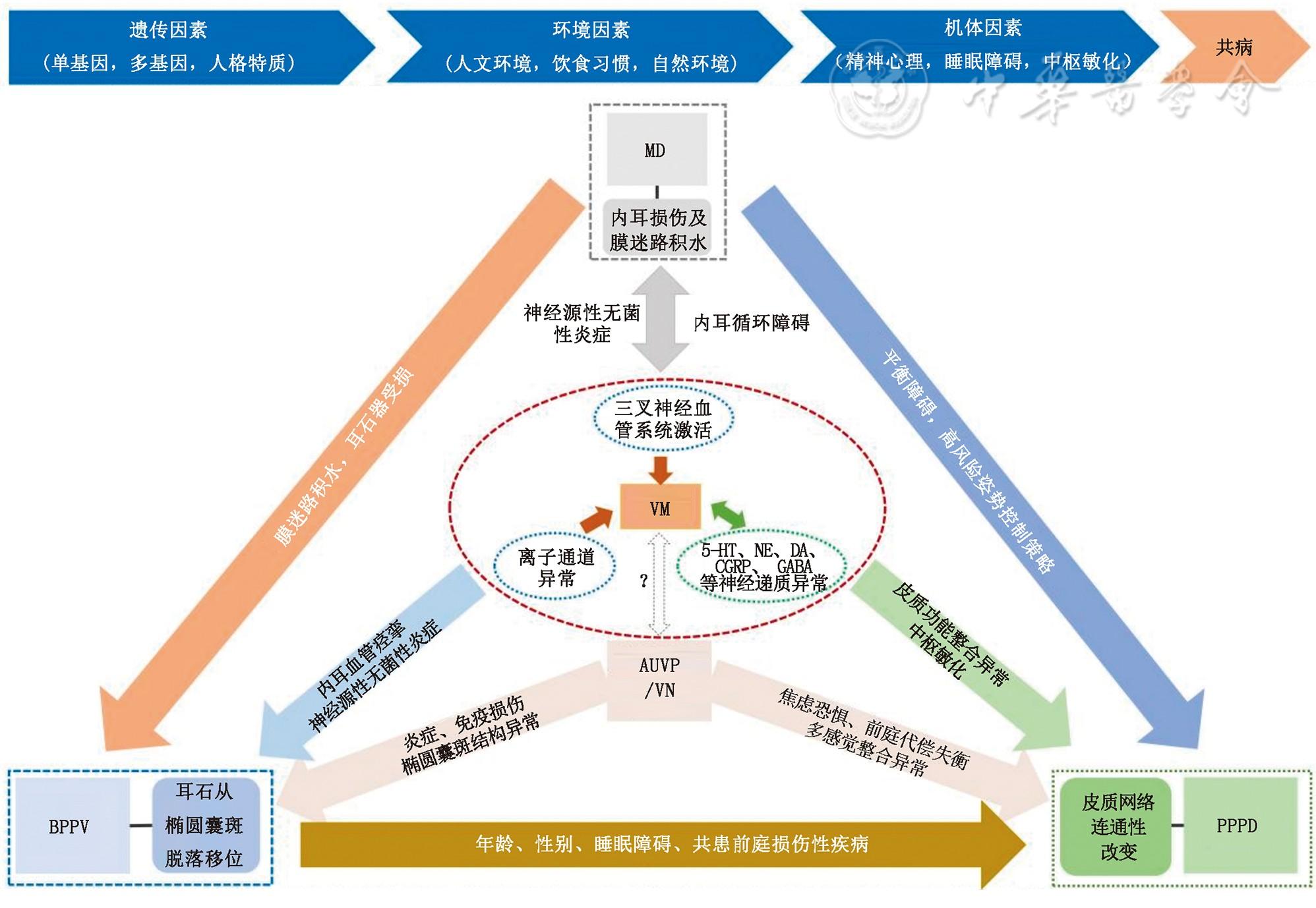 常见前庭疾病共病诊疗多学科专家共识（2025）
