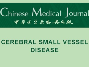 Cerebral Small Vessel