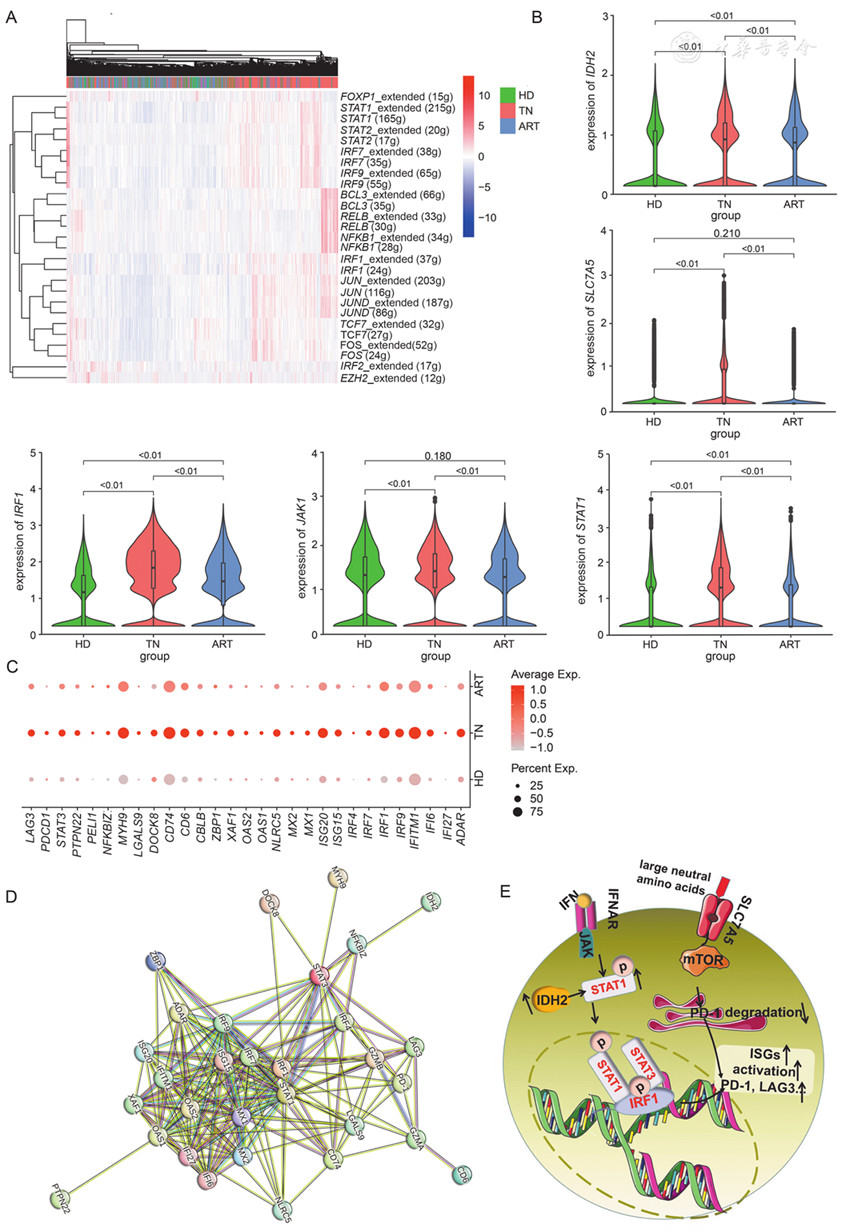 Single-cell profiling reveals immunometabolic remodeling with T-cell dysfunction in HIV-1 infected people