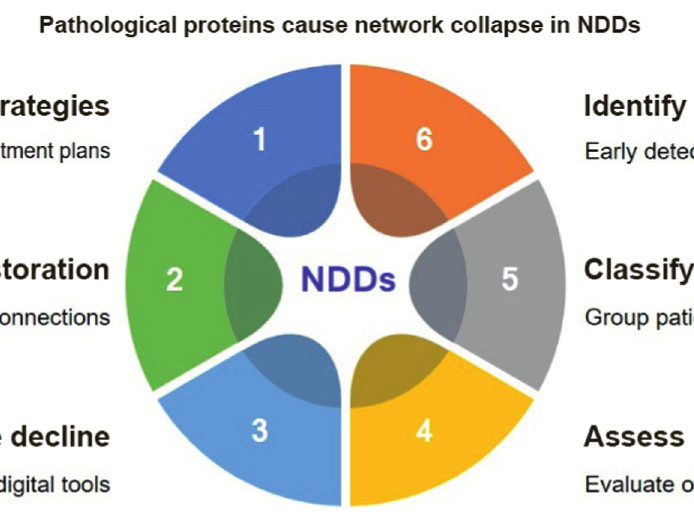 Network-centric perspectives on neurodegeneration: Mechanisms, biomarkers, and therapeutic pathways