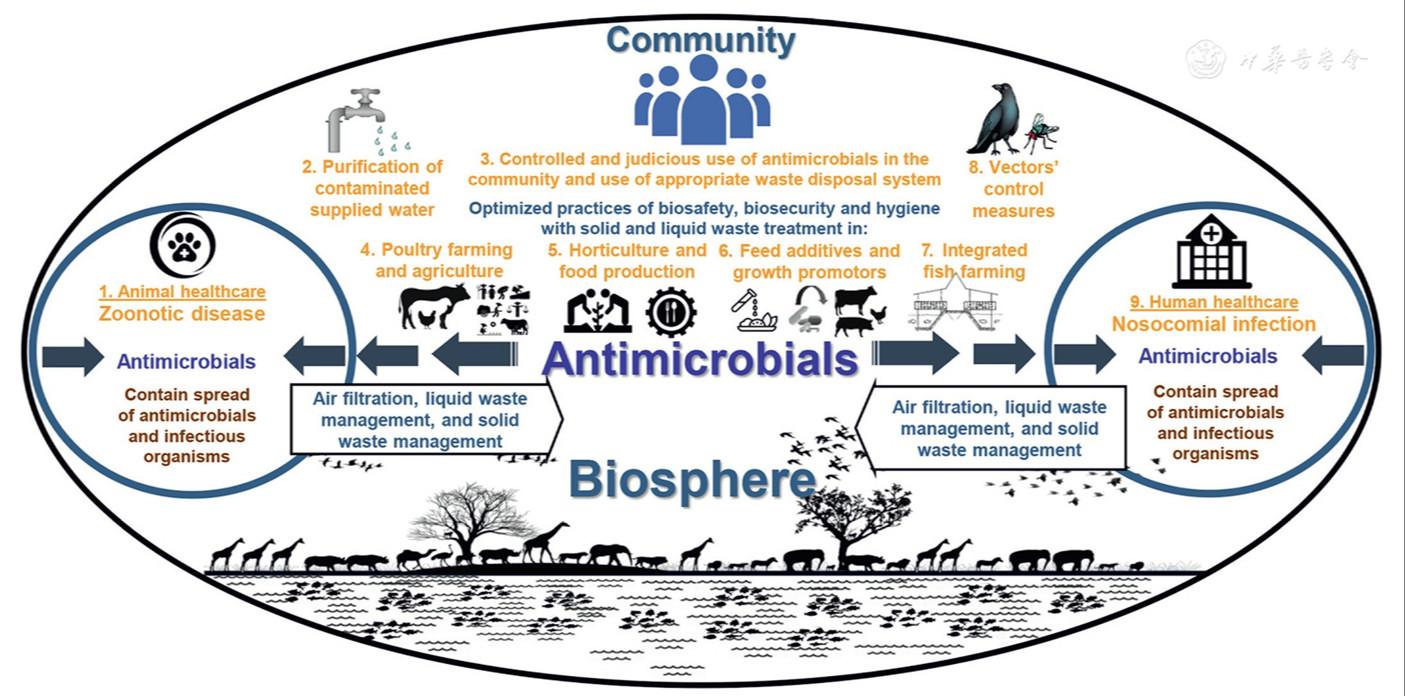Containment of antimicrobial resistance for strengthening global public health security: Biorisk management perspectives
