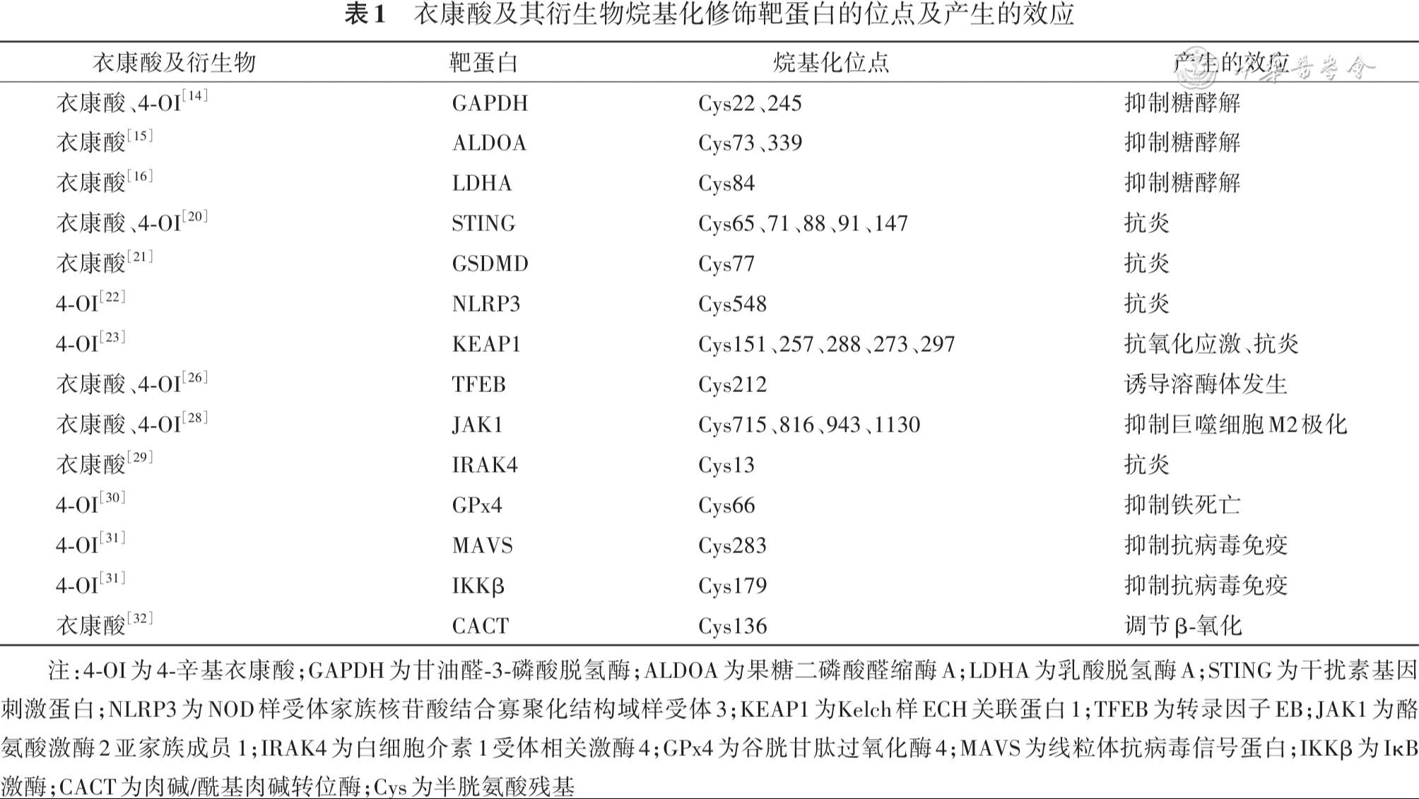 Itaconic acid regulates metabolism-related fatty liver disease and its mechanism and clinical application prospect