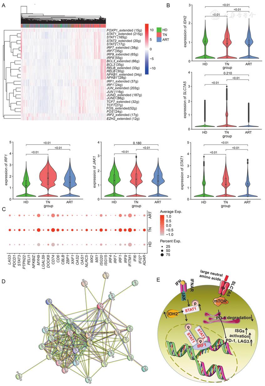 Single-cell profiling reveals immunometabolic remodeling with T-cell dysfunction in HIV-1 infected people