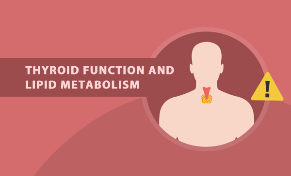 Assessment of causal association between thyroid function and lipid metabolism: a Mendelian randomization study