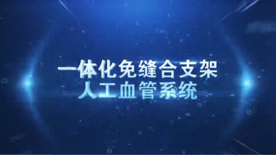 一体化免缝合带支架人工血管系统