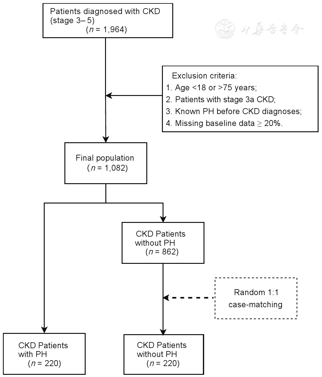 Comprehensive Characterization of Hematological, Renal, and Cardiovascular Profiles in Chronic Kidney Disease Patients With Pulmonary Hypertension