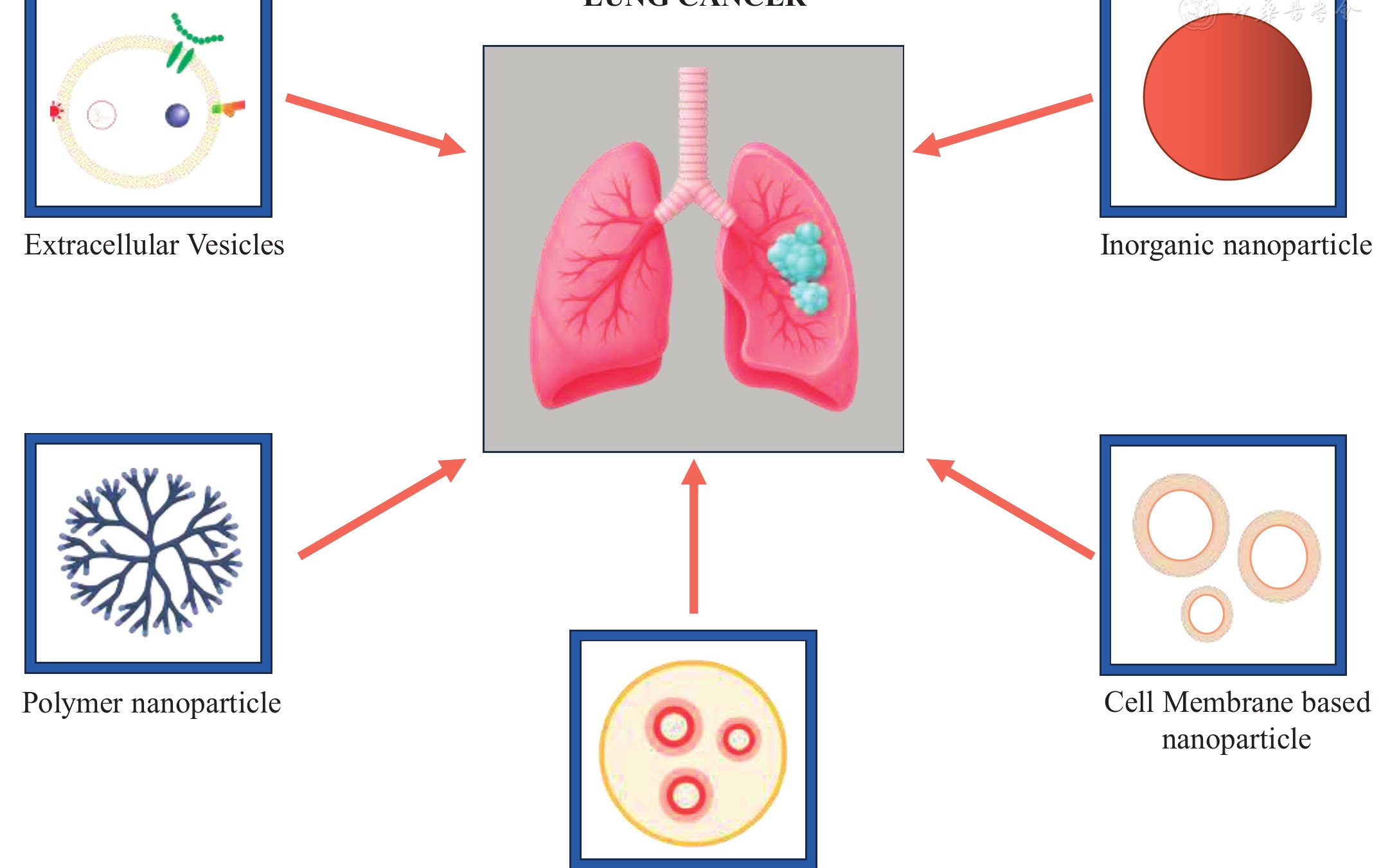 Addressing Chemoresistance in Lung Cancer: Pathways and Therapeutic Approaches